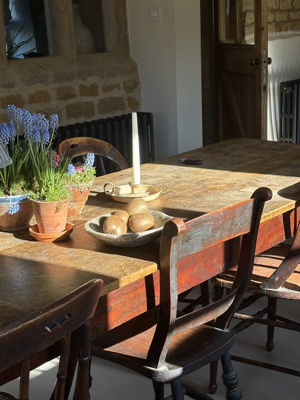 Lapwing House — scrubbed antique table with spring bulbs